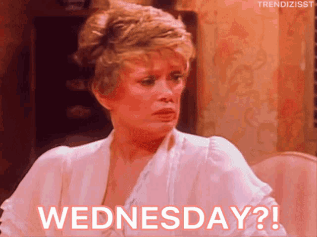 Wednesday Hump Day GIF