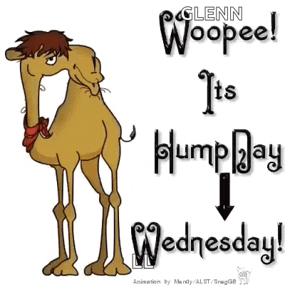 Wednesday Hump Day GIF