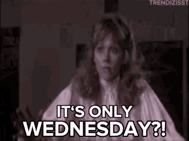 Wednesday Hump Day GIF