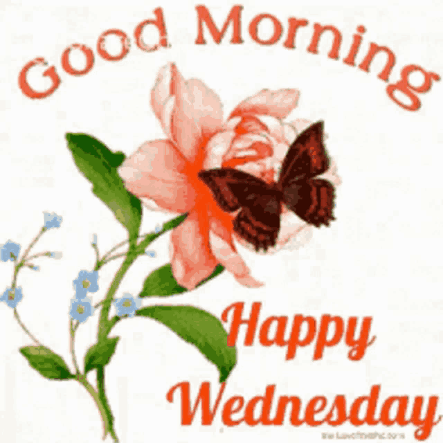 Wednesday Hump GIF