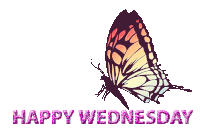 Wednesday Sticker