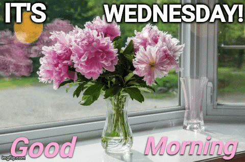 Wednesday Morning GIF. This 480 x 318 animated GIF is part of our guten morgen mittwoch collection. Created by SouthBronxNative. View the original…