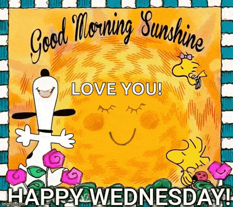 Wednesday Morning GIF