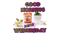 Wednesday Morning Sticker