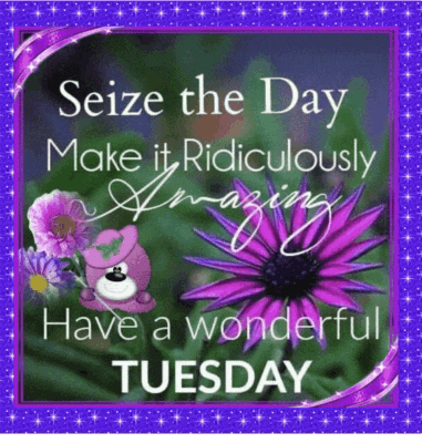 Wednesday Morning Good Morning Happy Wednesday Meme