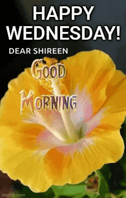 Wednesday Morning GIF