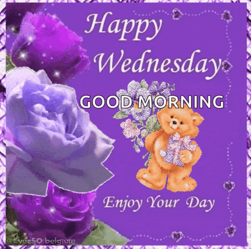 Wednesday Vec50 GIF