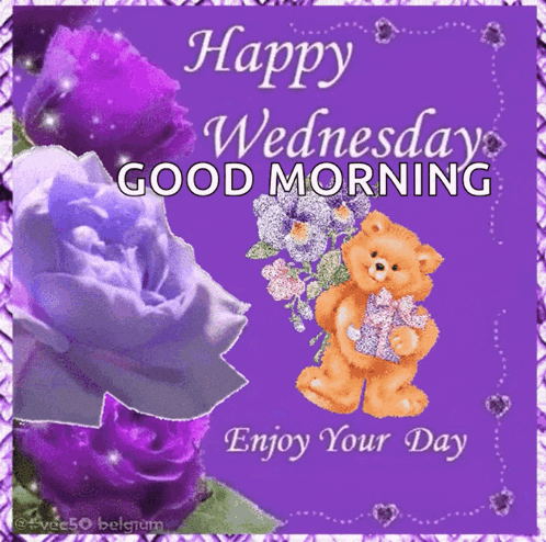 Wednesday Vec50 GIF