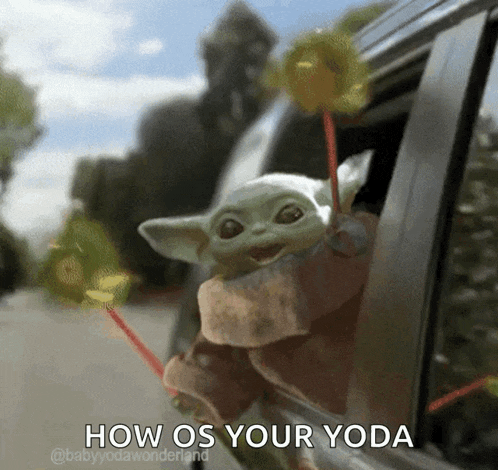 Wee Woohoo GIF