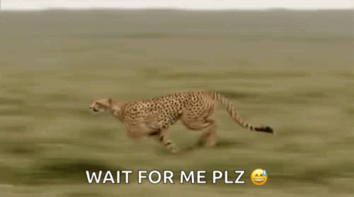 Weeeeee Run Fast GIF