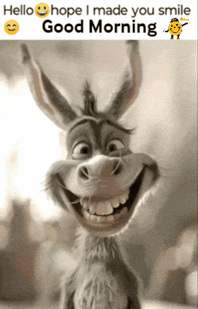 Weekend Friday GIF
