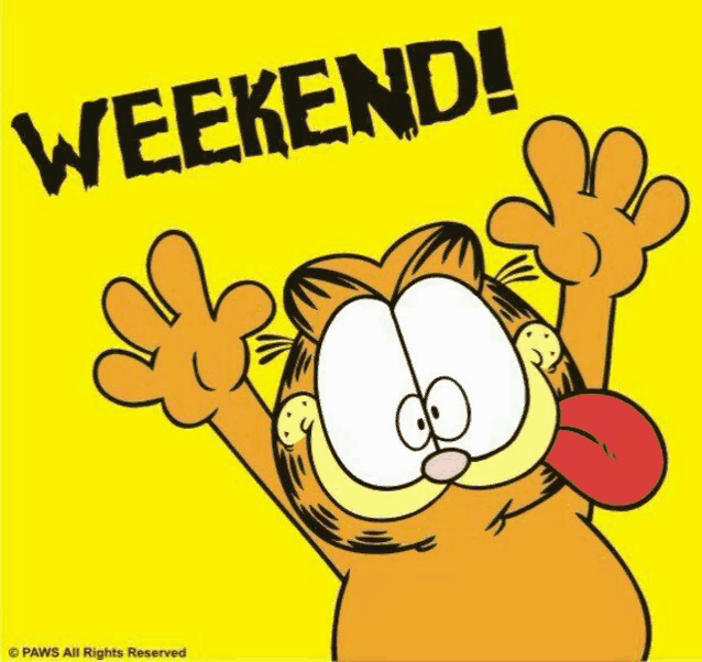Weekend Fun Weekend Is Here Meme