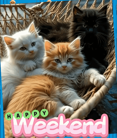 Weekend Happy Weekend GIF. This 400 x 472 animated GIF is part of our immagini buon weekend collection. Related themes include happy weekend, weekend…