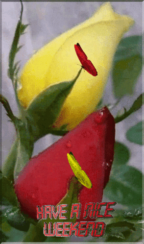 Weekend GIF