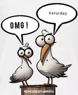 Weekend Samstag GIF. This 320 x 388 animated GIF is part of our hitze lustige bilder collection. Related themes include weekend. Created by…