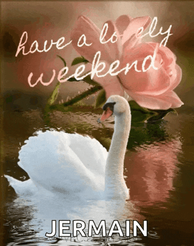 Weekend Vec50 GIF