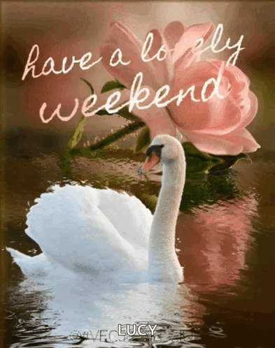 Weekend Vec50 GIF