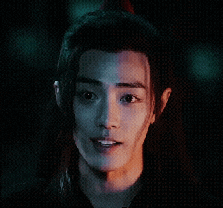 Wei Wuxian Wei Ying GIF