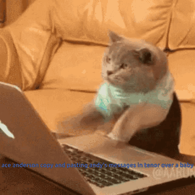 Weird Convos Funny GIF