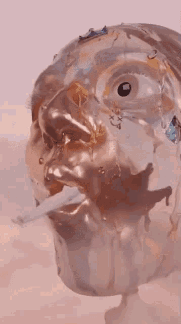 Weird Suck GIF