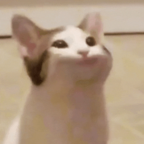 Welbs Sarahwelby GIF