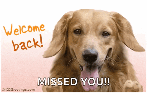 Welcome Back Dogs GIF