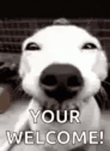 Welcome GIF