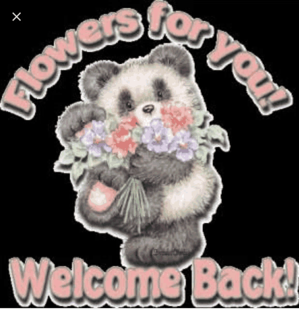 Welcome Meme