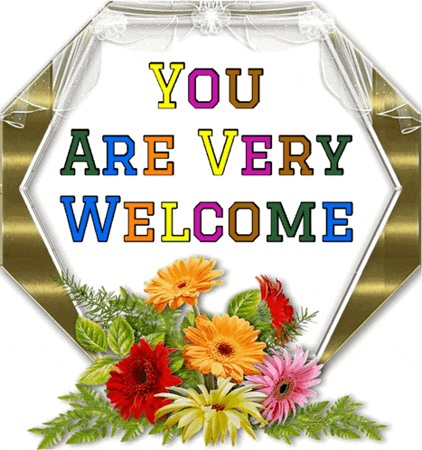 Welcome Youre Welcome GIF