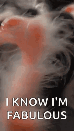 Well Hello Hello There GIF