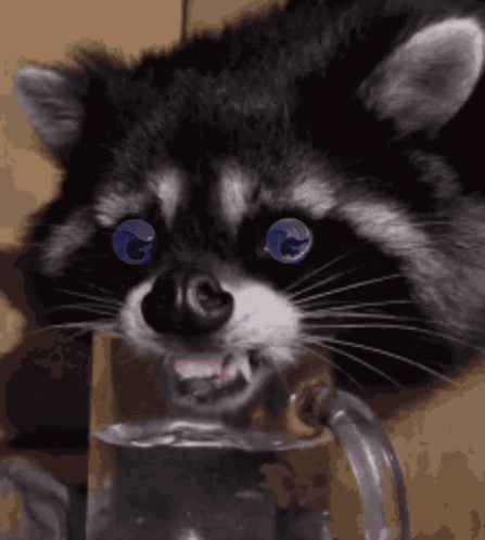 Wen When GIF