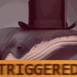 Whale Triggered GIF