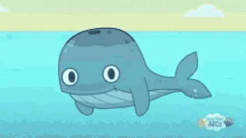 Whale Whale Sharks GIF
