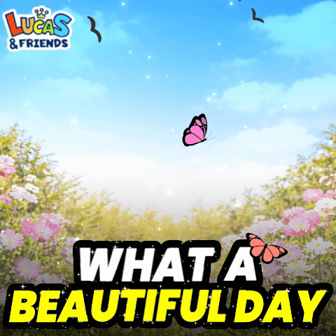 What A Beautiful Day Big Beautiful Day GIF