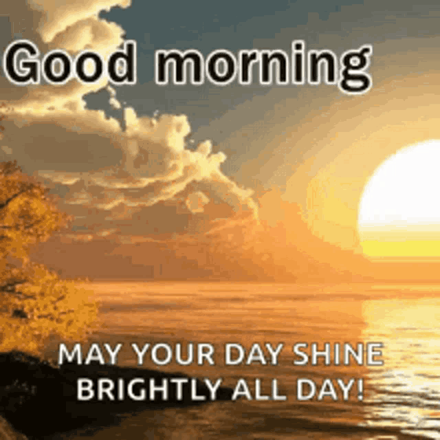 What A Sunny Day GIF