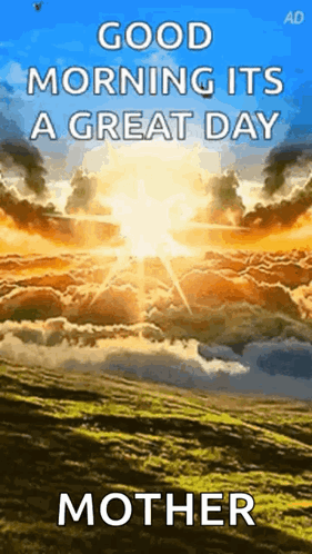 What A Sunny Day GIF