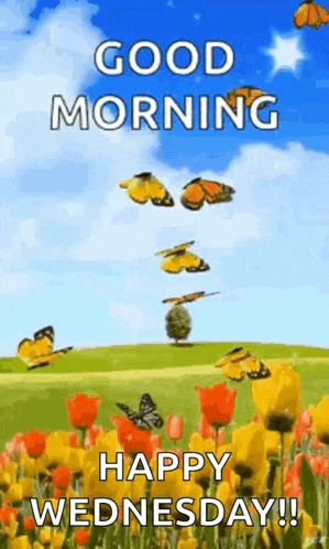 What A Sunny Day GIF