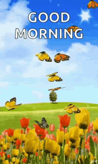 What A Sunny Day GIF