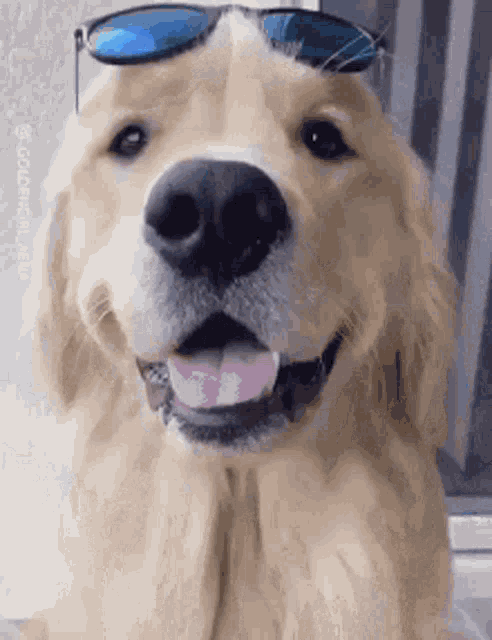 What A Sunny Day GIF