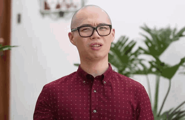 What Are You An Overgrown Kid Chris Cantada GIF