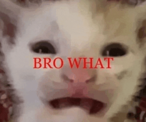 What Bro What Meme