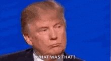 What Did You Say Whats That Again GIF