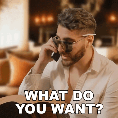 What Do You Want Rudy Ayoub GIF