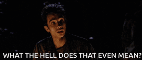 What Does That Mean What Does That Even Mean GIF