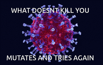 What Doesnt Kill You Survive GIF