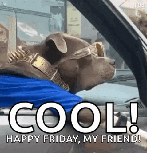 What Dog GIF