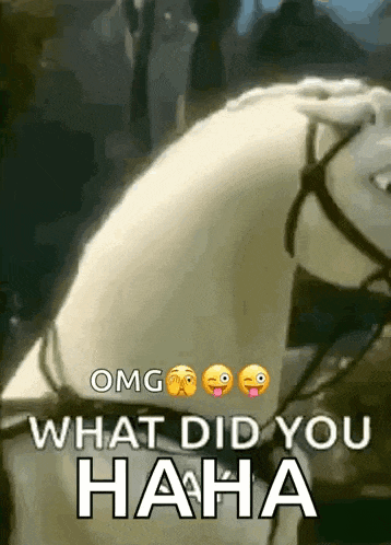 What Frozen GIF