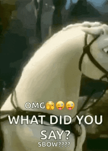 What Frozen GIF