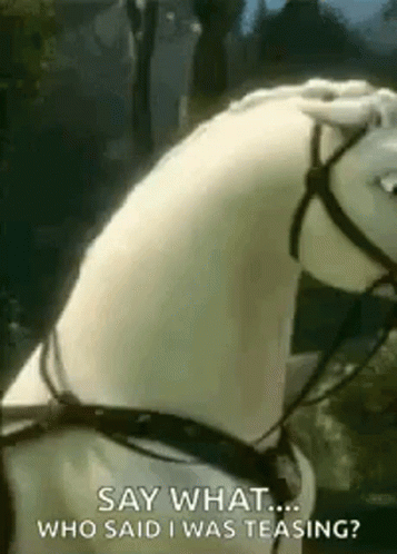 What Horse GIF. This 357 x 498 animated GIF is part of our horse kick collection. Related themes include horse, what. Created by KellyMezzaroba. View the…