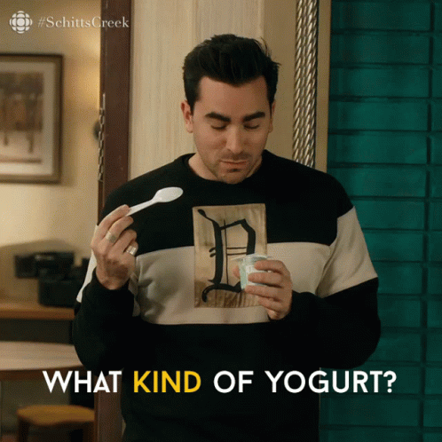 What Kind Of Yogurt David GIF